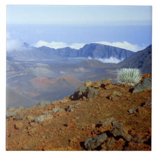 Carreau Mot d'argent sur la rime du cratère de Haleakala d