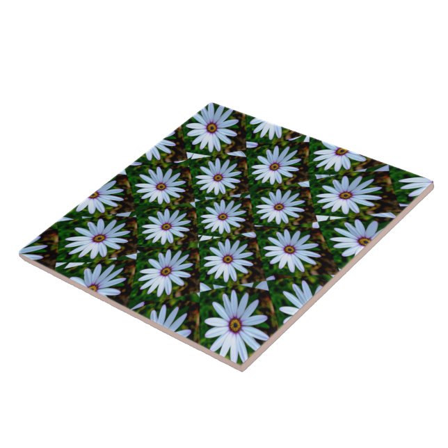 Carreau Motif blanc (Côté)