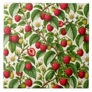 Carreau Motif botanique de framboise et de fleur