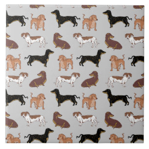 Carreau Motif chien Dachshund