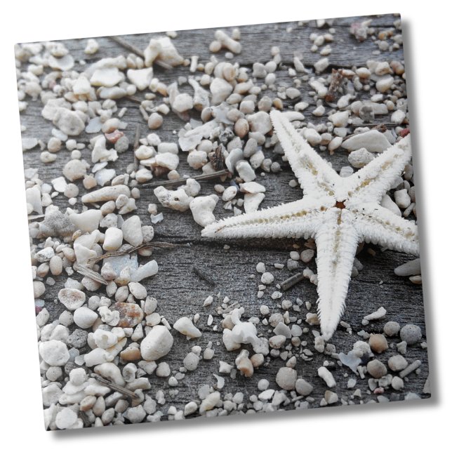 Carreau Motif Coastal Ocean Sea Shell (Nautical White Starfish Shell Gray Sand Beach Ceramic Tile)