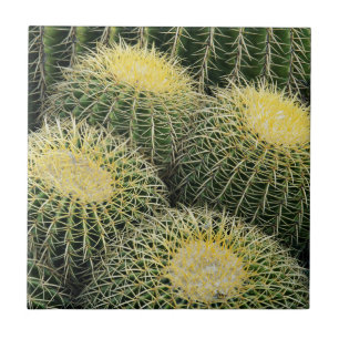 Carreau Motif de cactus