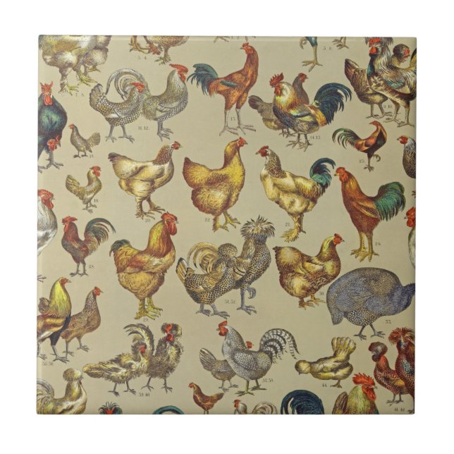 Carreau Motif de coq poulet vintage : Art de ferme (Devant)