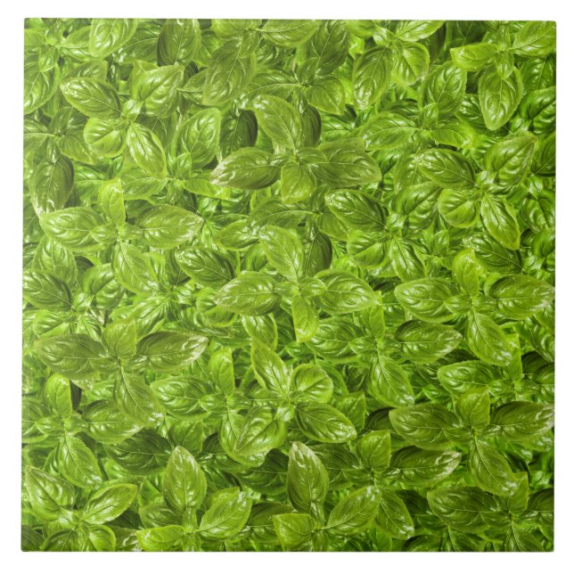 Carreau Motif de feuilles de basilic (Devant)