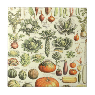 Carreau Motif de légumes à la crème vintage