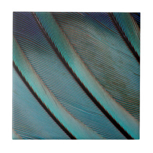 Carreau Motif de plume bleue