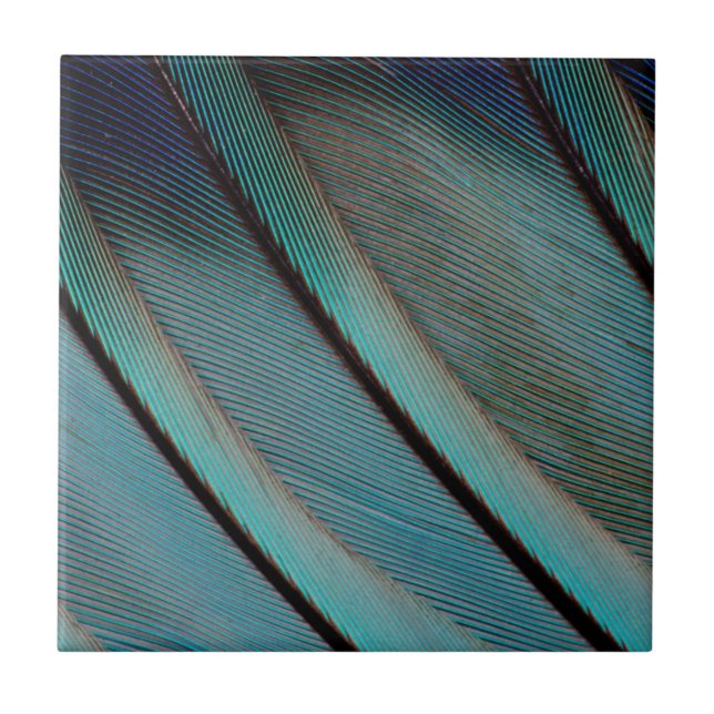 Carreau Motif de plume bleue (Devant)