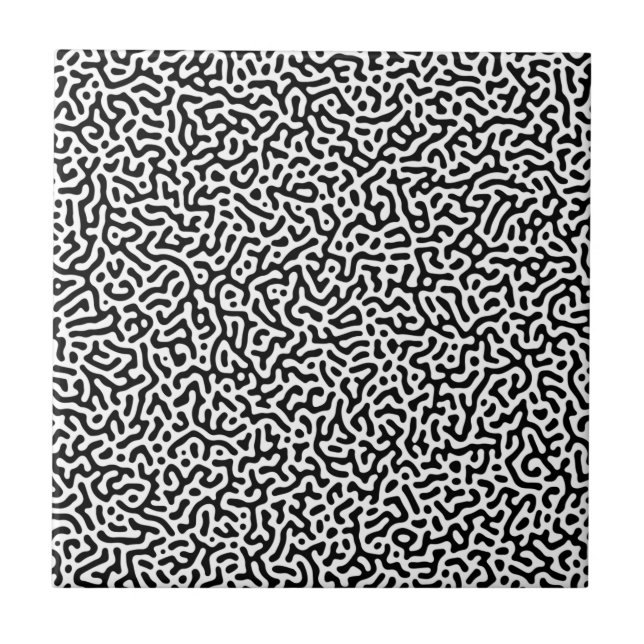 Carreau Motif de Turing Noir et Blanc (Devant)