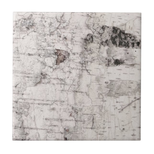 Carreau Motif d'écorce de bouleau (Devant)