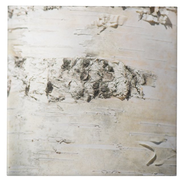 Carreau Motif d'écorce de bouleau (Devant)