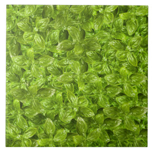 Carreau Motif Feuille Basil