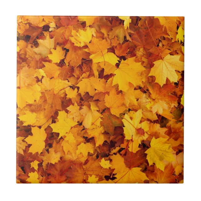 Carreau Motif Feuille d'Érable-25877 (Devant)
