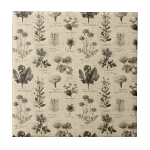 Carreau Motif floral botanique vintage (11)