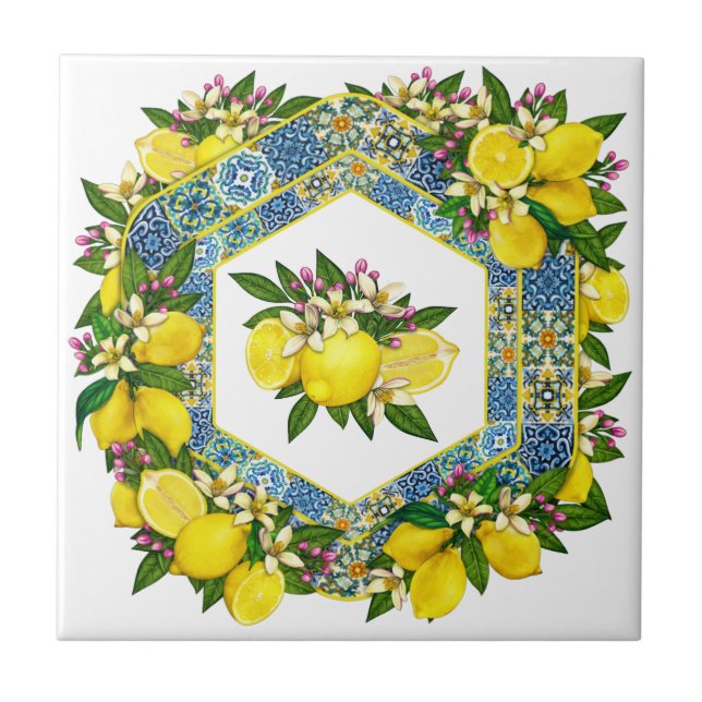 Carreau Motif méditerranéen Couleur 5 Carrelage en céramiq (Devant)