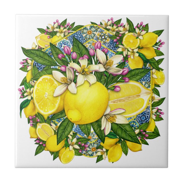 Carreau Motif méditerranéen Couleur 6 Carrelage en céramiq (Devant)