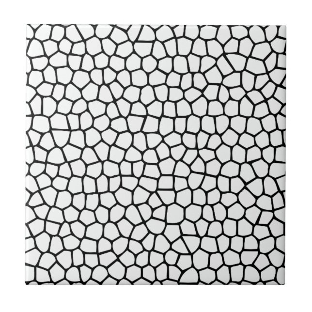 Carreau Motif mosaïque noir et blanc (Devant)