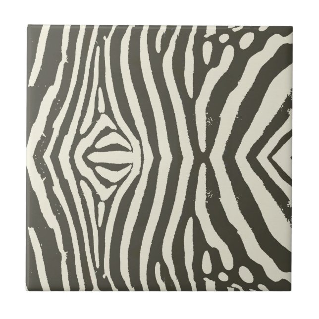 Carreau Motif Poster de animal Zebra Stripe (Devant)