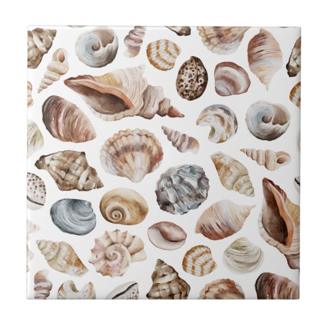 Carreau Motif Seashell (Devant)