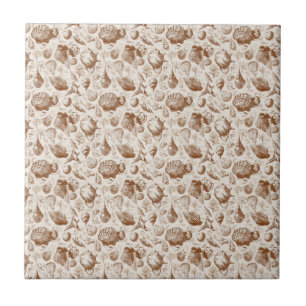 Carreau Motif Toile de Coquillages de Mer Vintage (2)
