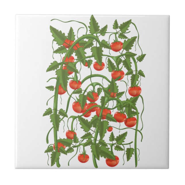 Carreau Motif Tomates (Devant)