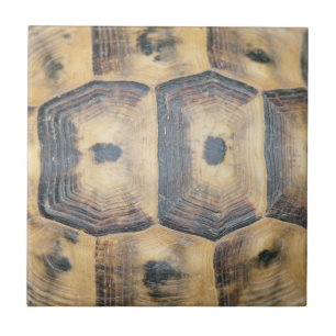 Carreau Motif Tortoise Shell