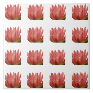 Carreau Motif Tulip