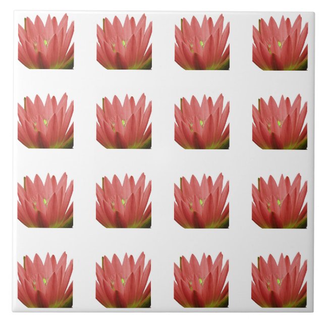 Carreau Motif Tulip (Devant)