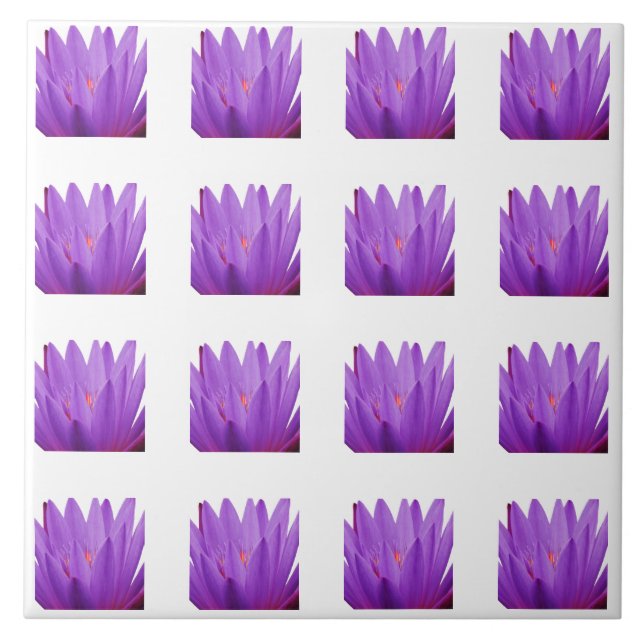 Carreau Motif Tulip (Devant)