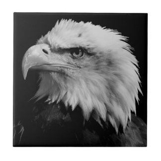 Carreau Motivation du leadership de l'aigle américain