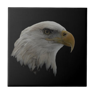 Carreau Motivation du leadership de l'aigle américain