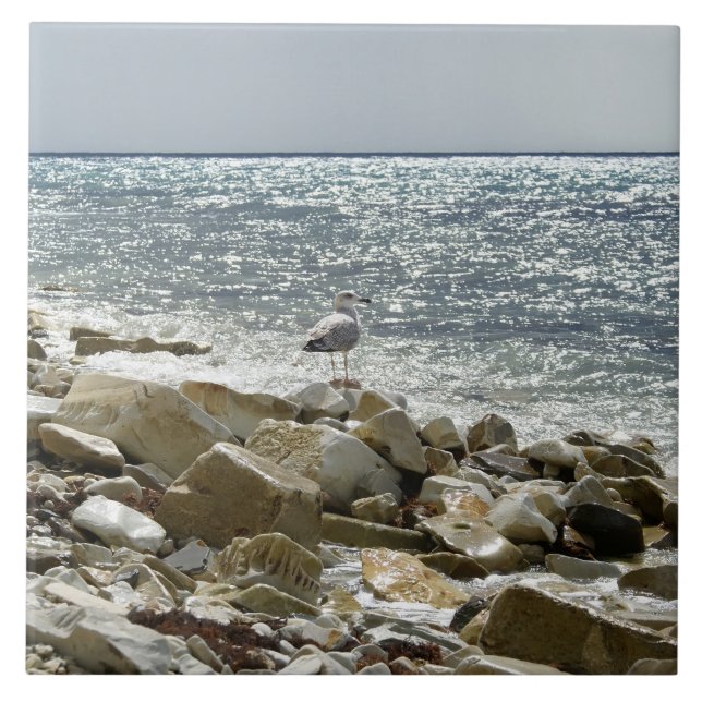 Carreau Mouette (Devant)