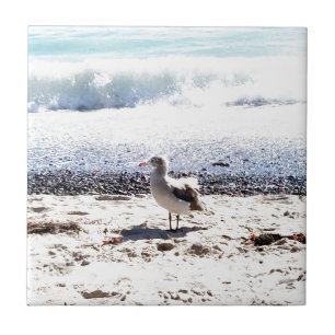 Carreau mouette au bord de l'océan sur la plage photo