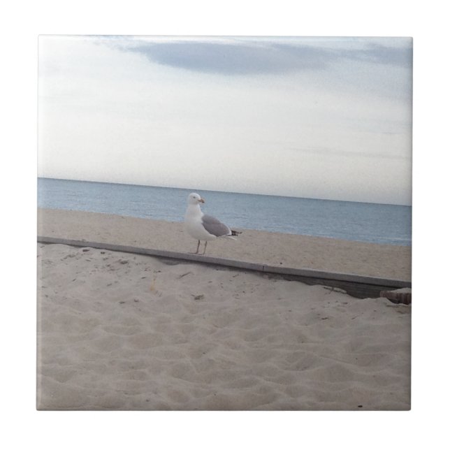 Carreau Mouette sur la plage (Devant)