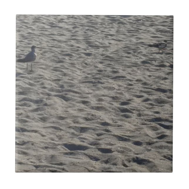 Carreau Mouette sur la plage de Cocoa (Devant)