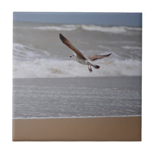 Carreau Mouette volant au-dessus de la plage vers l'océan