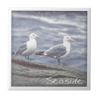 Carreau Mouettes de mer