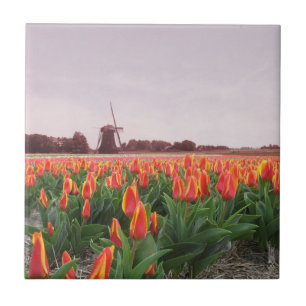 Carreau Moulin à vent orange Hollande de champ de tulipe