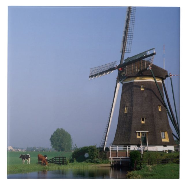 Carreau Moulins à vent, Leidschendam, Pays-Bas (Devant)