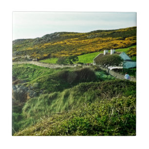 Carreau Moutons chez l'Irlande
