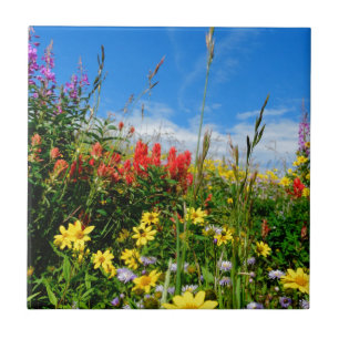 Carreau Mt. Fleur sauvage