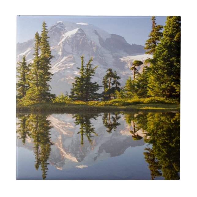 Carreau Mt. Rainier reflété dans un lac glaciaire près de  (Devant)