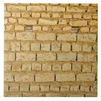 Carreau Mur de briques boueux