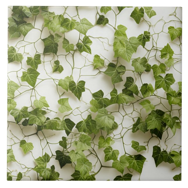 Carreau Mur de lierre vert, illustrations botaniques sans  (Devant)
