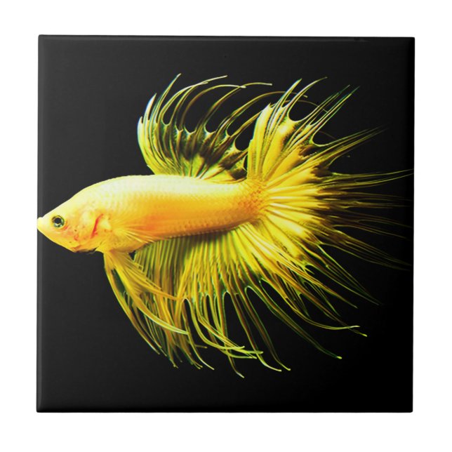 Carreau mur tropical tuiles vintages (Devant)