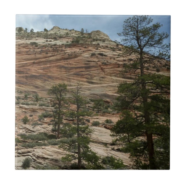 Carreau Murs de roche usés dans le parc national de Zion (Devant)