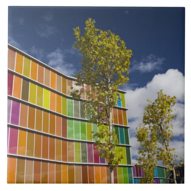 Carreau MUSAC, musée d'art contemporain (Devant)
