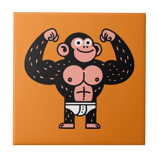 Carreau Musculaire (Devant)