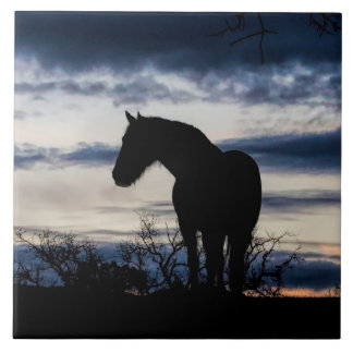 Carreau Mustang et Storm Fine Art