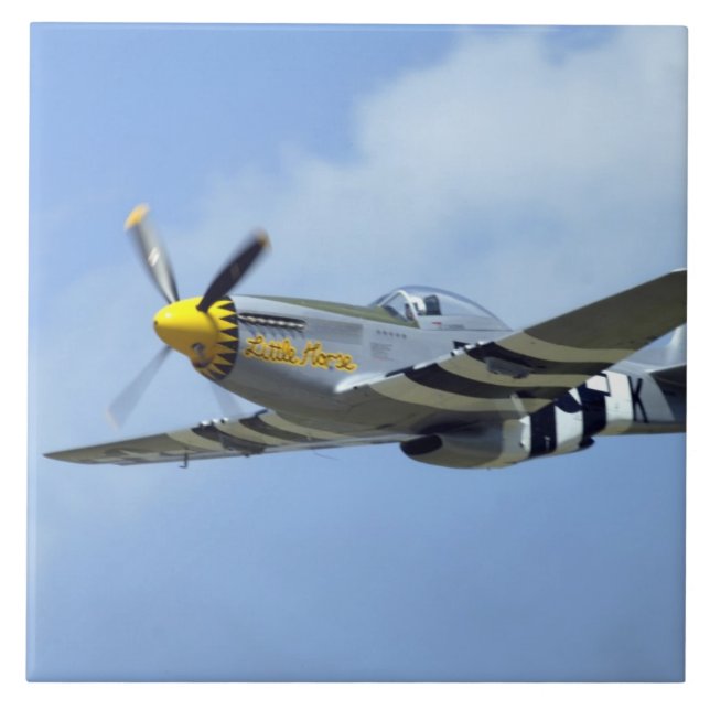 Carreau Mustang nord-américain de P-51D, petit cheval (Devant)