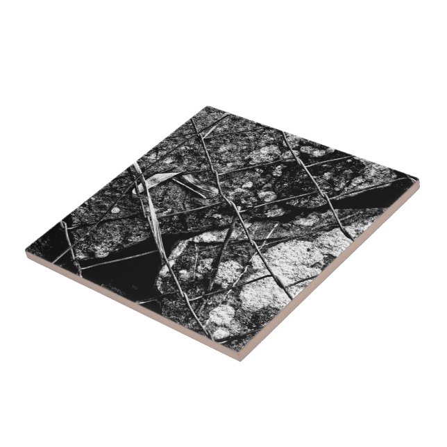 Carreau mutant pour tomorrow (Côté)